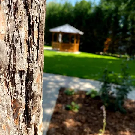 Karinthy Haz شيوفوك