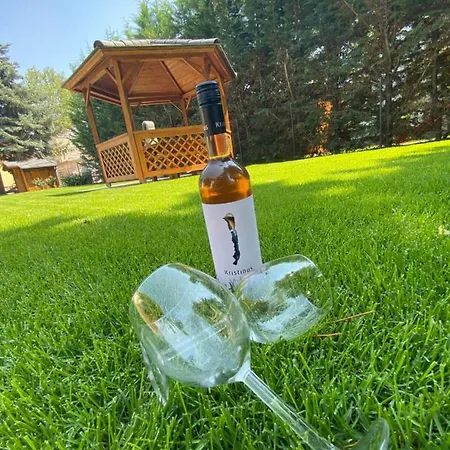 منزل ريفي Karinthy Haz *