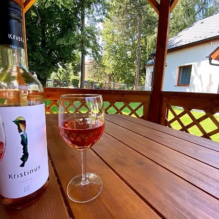 Karinthy Haz منزل ريفي *