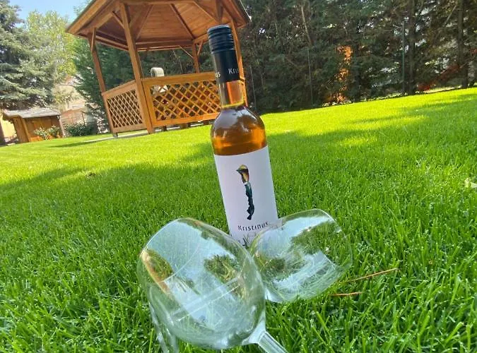 カントリーハウス Karinthy Haz *